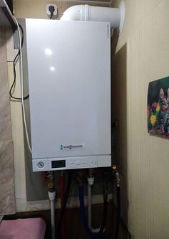 IMG_20190208_170710